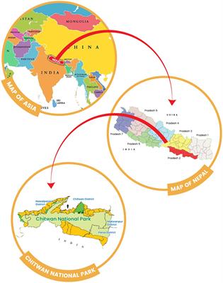 Phylogenomic analysis supports Mycobacterium tuberculosis transmission between humans and elephants